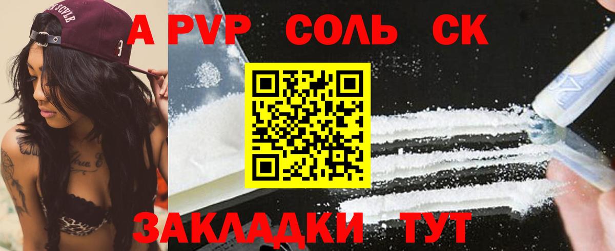 A PVP СК КРИС Волгодонск