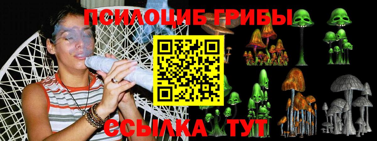 Волгодонск  Галлюциногенные грибы MAGIC MUSHROOMS  Вход с VPN  дарнет шоп  Псилоцибиновые грибы мухоморы 